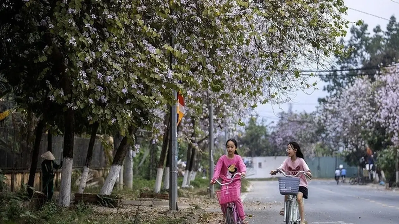 موجة حرارة تتخطى 33 درجة مئوية تضرب مناطق شمال فيتنام وسط عواصف رعدية متفرقة